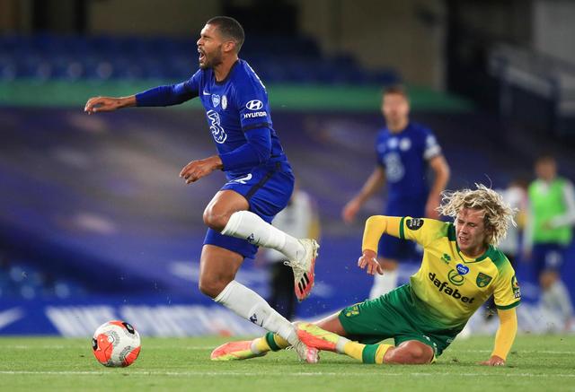 供了珍貴的 供了珍貴的